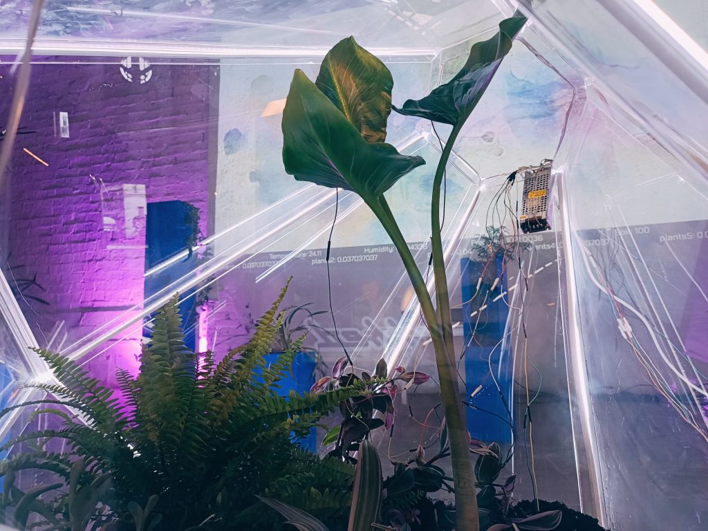 trichomes.ai, 1010bcn, barcelona design week